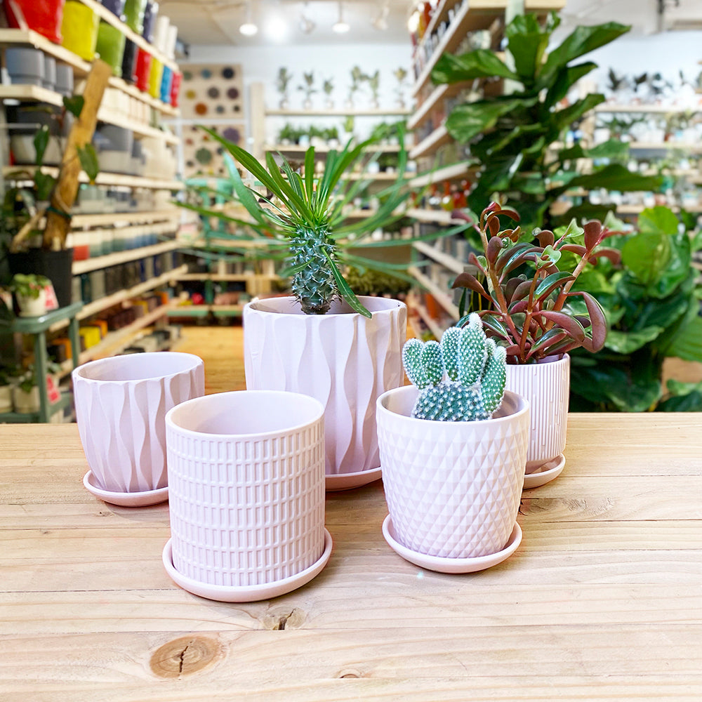 Virago Porcelain Pot With Drainage Hole And Saucer Kits - Chive UK Wholesale