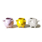 Pig Ceramic Indoor Plant Pot Kit - Chive UK Wholesale