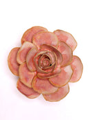 Ceramic Flowers With Keyhole For Hanging On Walls Collection 15 - Chive UK Wholesale