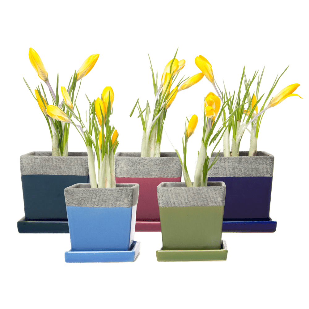 Duo Ceramic Planter With Drainage Hole And Saucer Kit - Chive UK Wholesale