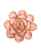 Ceramic Flowers With Keyhole For Hanging On Walls Collection 15 - Chive UK Wholesale