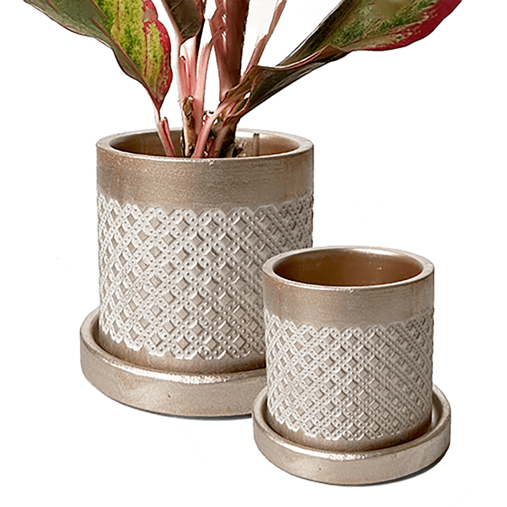 Balter Ceramic Pot And Saucer Set - Chive UK Wholesale