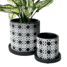 Balter Ceramic Pot And Saucer Set - Chive UK Wholesale