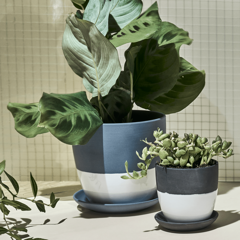 Dyad Porcelain Modern Indoor Plant Pot With Saucer - Chive UK Wholesale