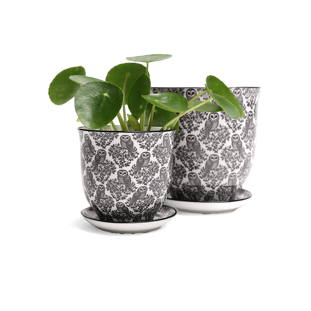 Liberte Porcelain Pot And Saucer Set With Drainage - Chive UK Wholesale