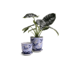 Liberte Porcelain Pot And Saucer Set With Drainage - Chive UK Wholesale