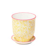 Liberte Porcelain Pot And Saucer Kits