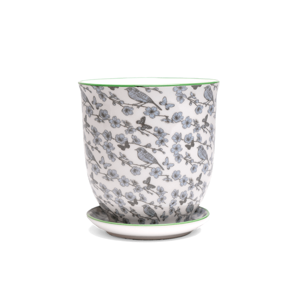 Liberte 5 Porcelain Pot And Saucer With Drainage - Chive UK Wholesale