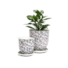 Liberte 5 Porcelain Pot And Saucer With Drainage - Chive UK Wholesale