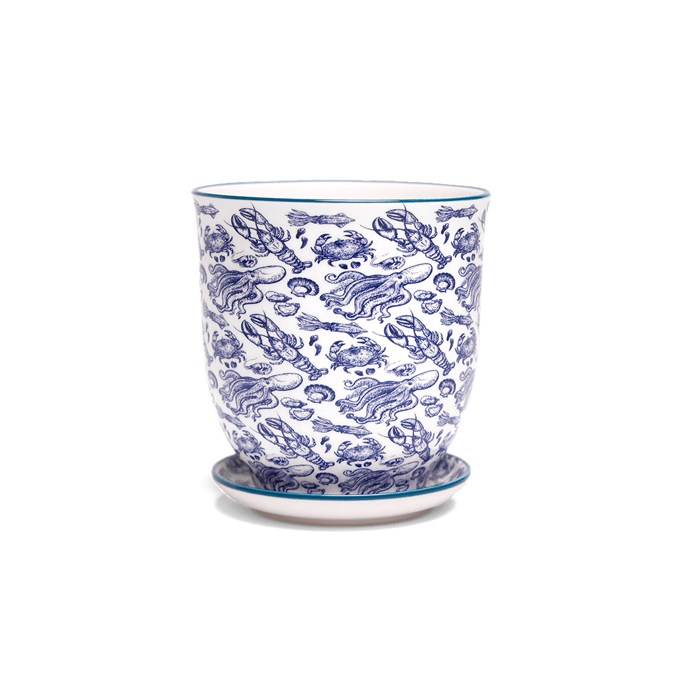 Liberte 5 Porcelain Pot And Saucer With Drainage - Chive UK Wholesale