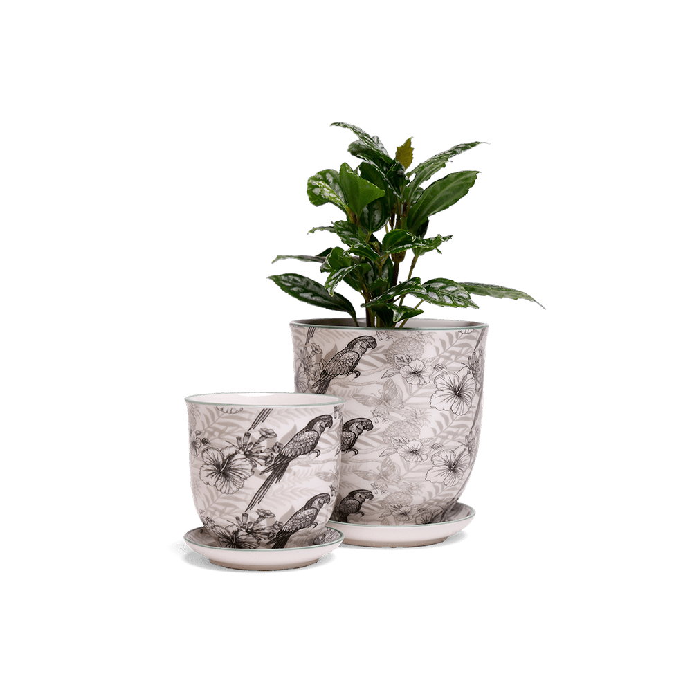 Liberte 5 Porcelain Pot And Saucer With Drainage - Chive UK Wholesale