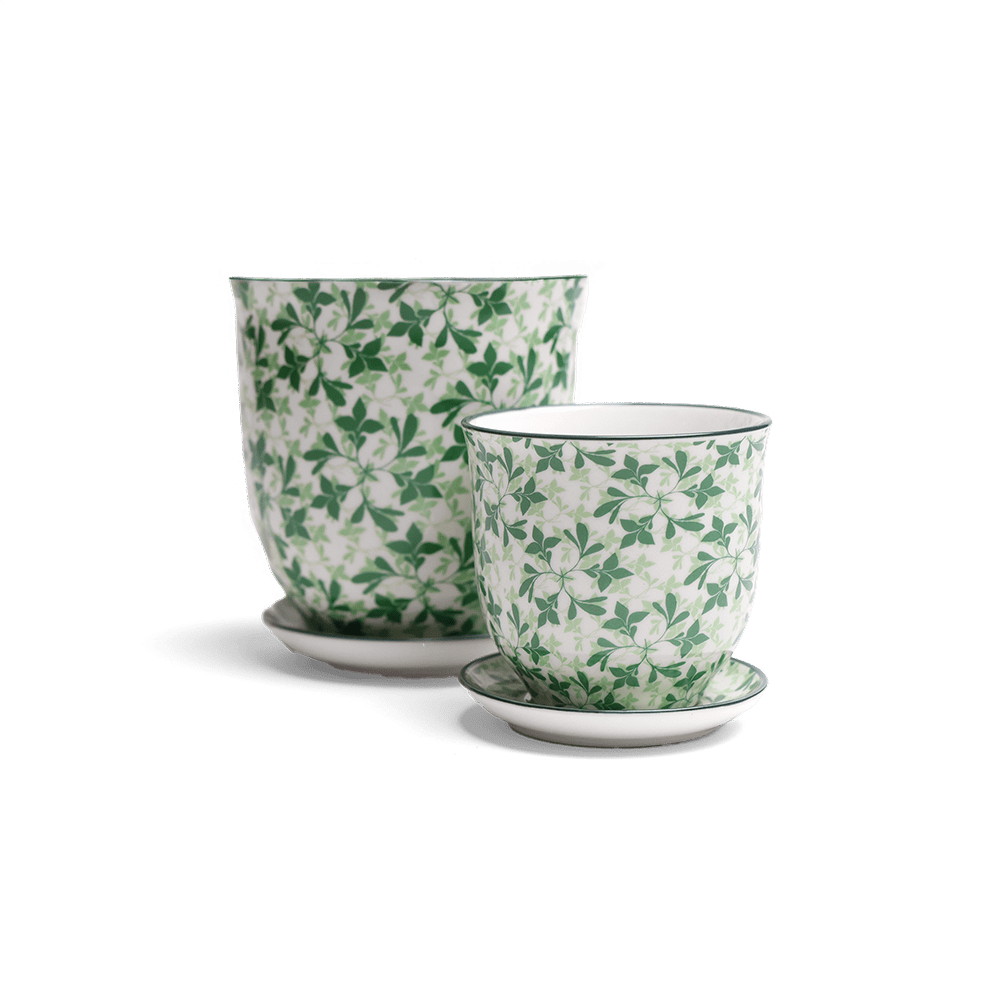 Liberte Porcelain Pot And Saucer Set With Drainage - Chive UK Wholesale