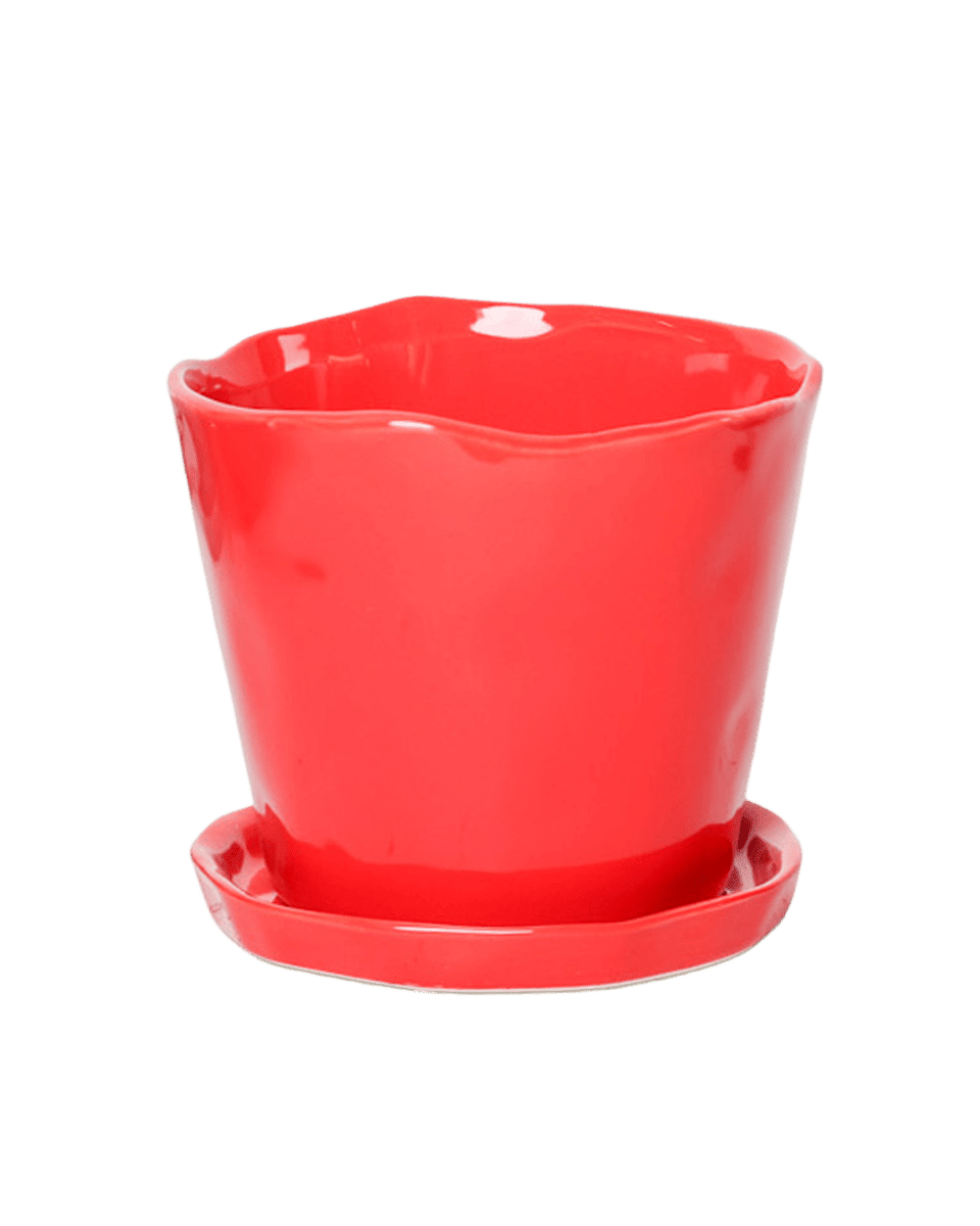 Tika Pot & Saucer | 5 inch - Chive UK Wholesale