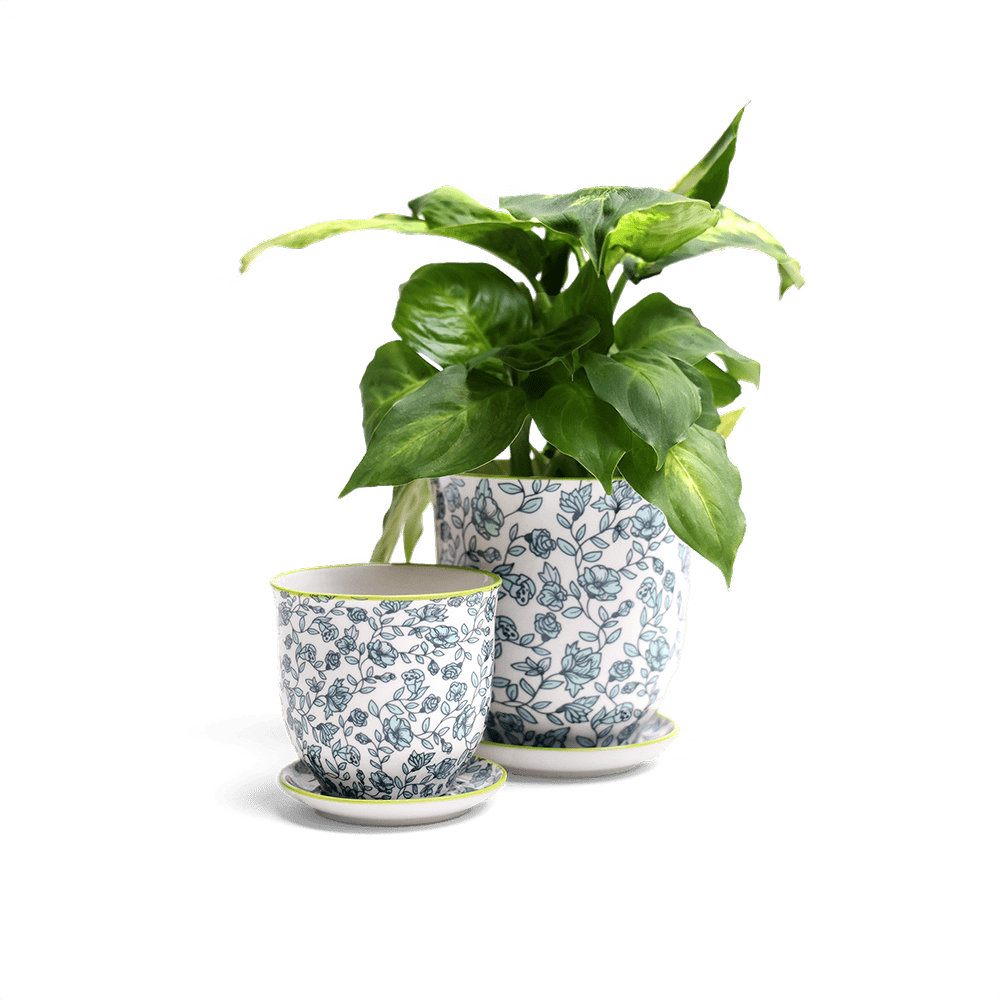 Liberte Porcelain Pot And Saucer Set With Drainage - Chive UK Wholesale