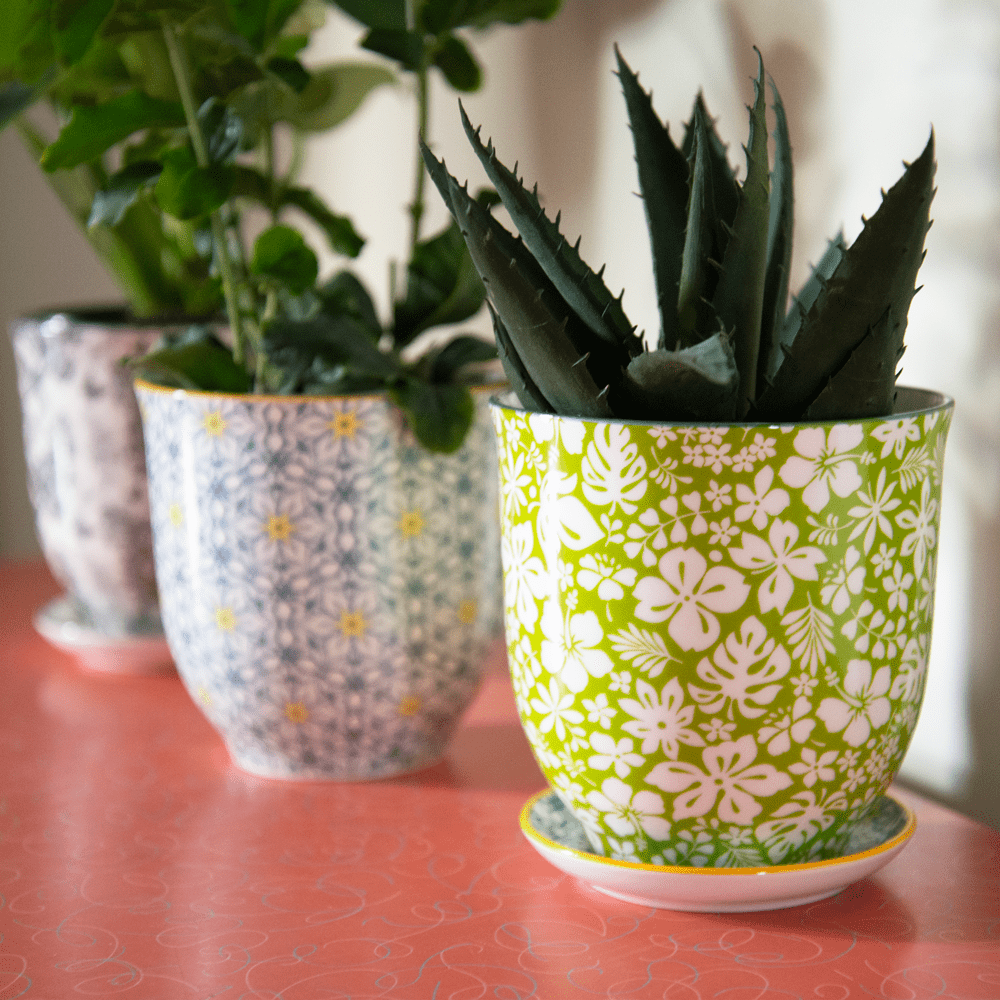 Liberte Porcelain Pot And Saucer Set With Drainage - Chive UK Wholesale