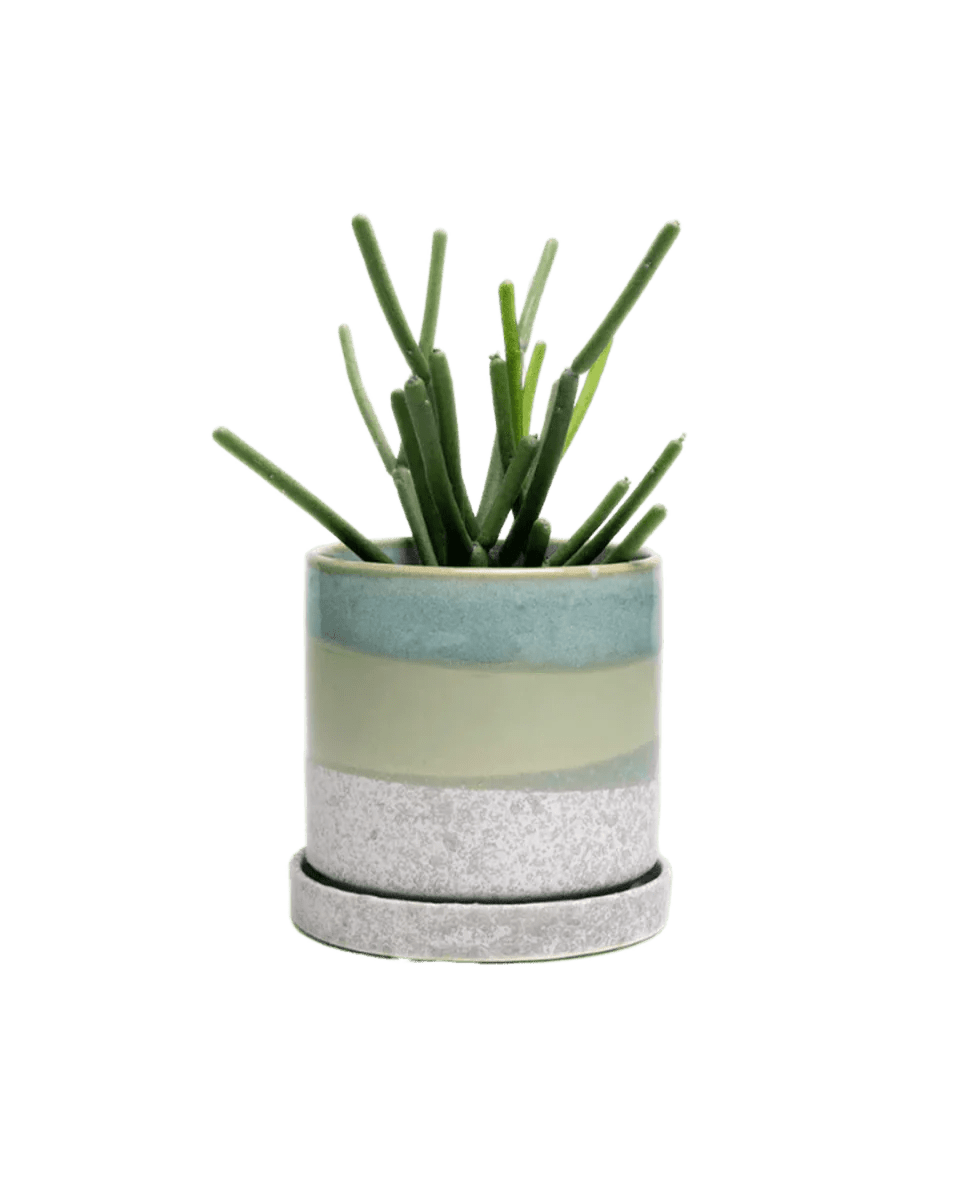 Minute Ceramic Pot And Saucer With Drainage Kit - Chive UK Wholesale