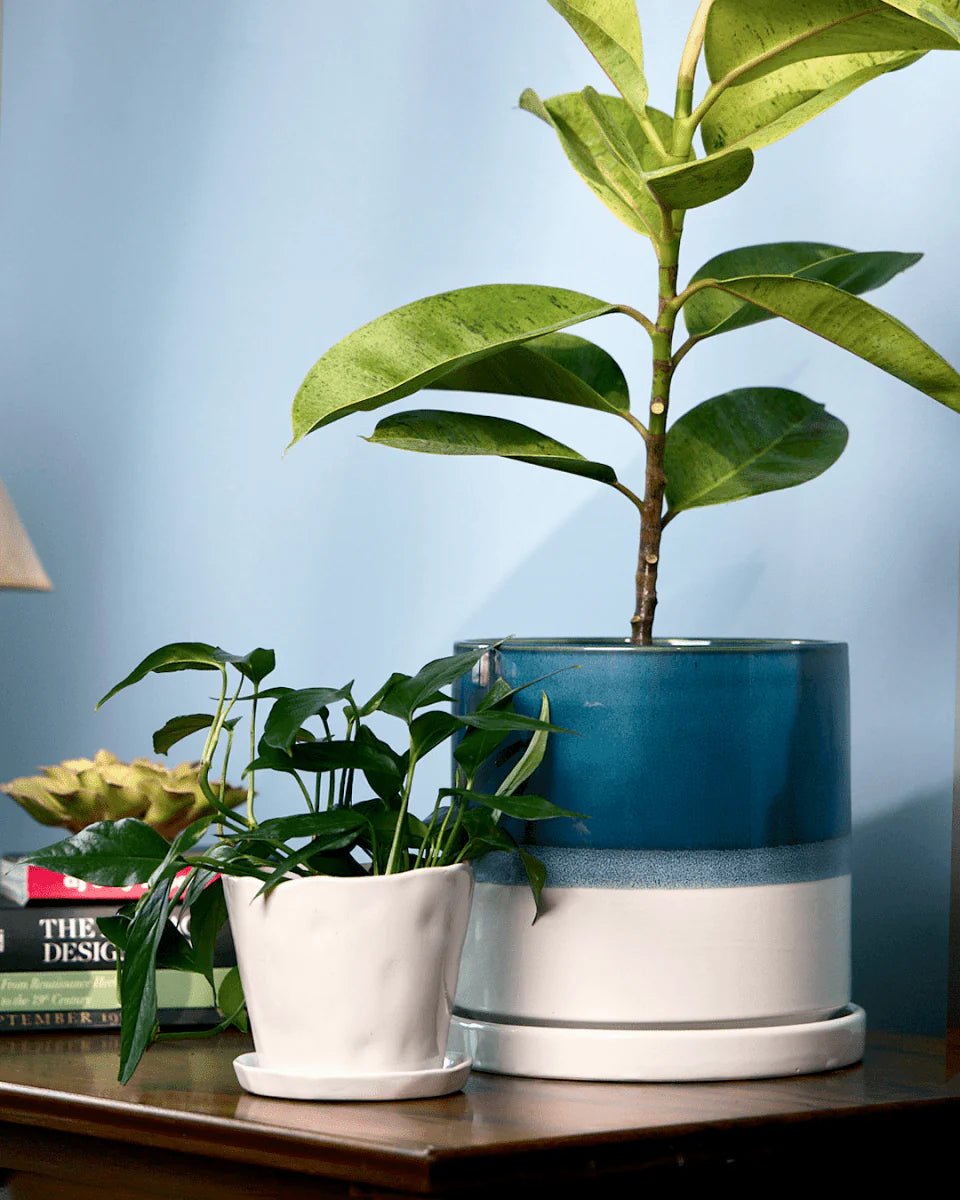 Minute Ceramic Pot And Saucer With Drainage Kit - Chive UK Wholesale