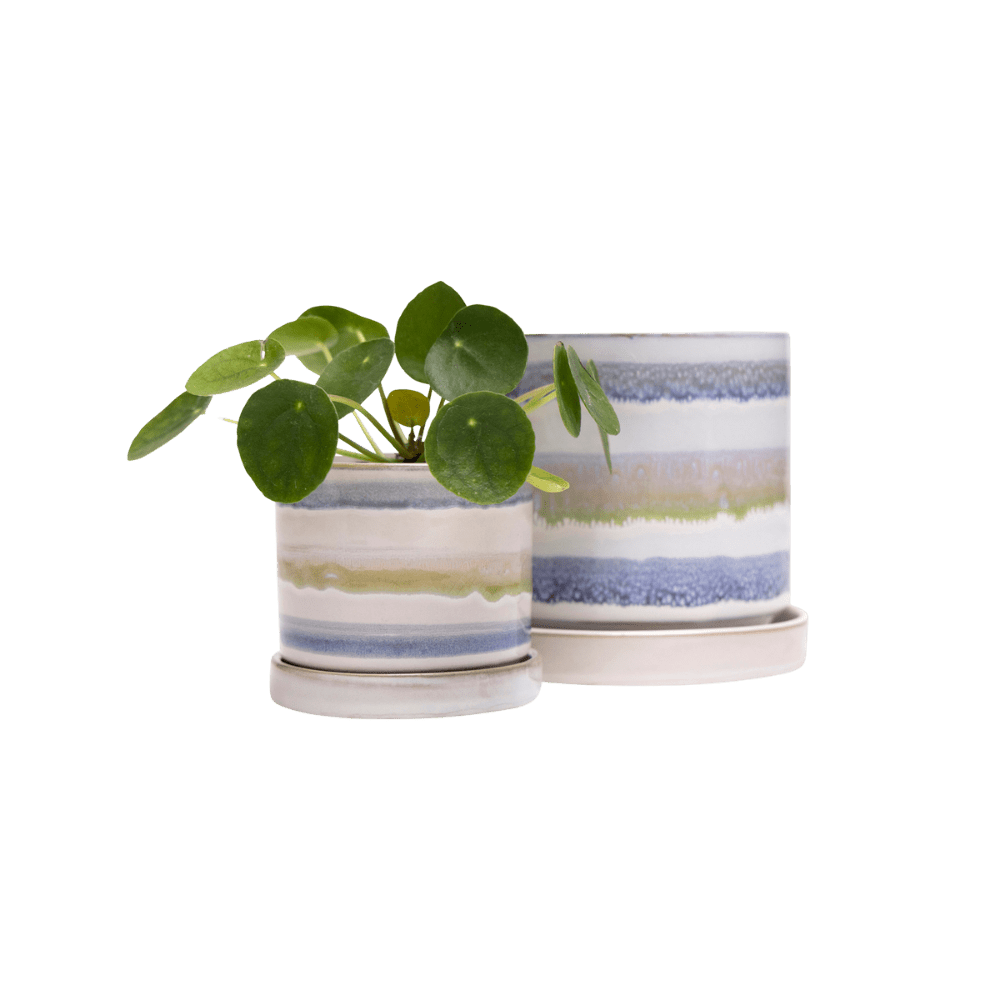 Minute Ceramic Pot And Saucer Set With Drainage - Chive UK Wholesale