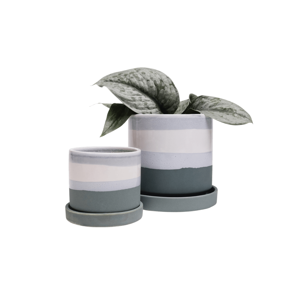 Minute Ceramic Pot And Saucer Set With Drainage - Chive UK Wholesale