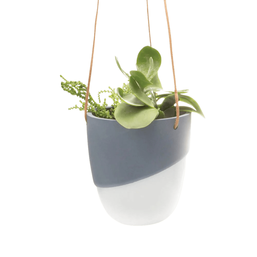 Bobbin Porcelain Modern Hanging Indoor Plant Pot - Chive UK Wholesale