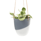 Bobbin Porcelain Modern Hanging Indoor Plant Pot - Chive UK Wholesale