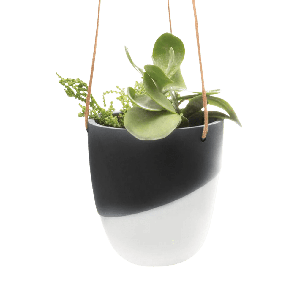 Bobbin Porcelain Modern Hanging Indoor Plant Pot - Chive UK Wholesale