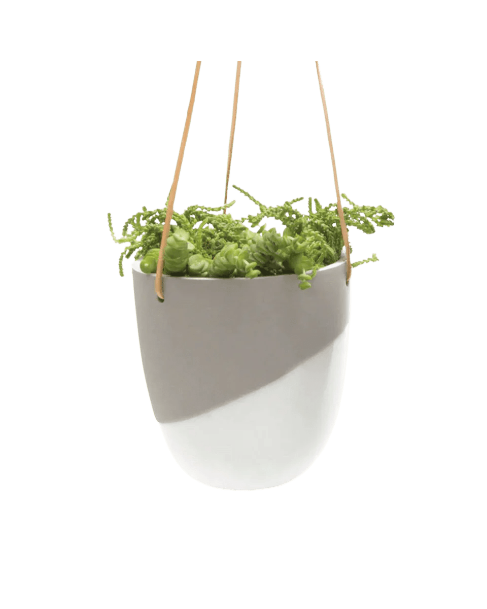 Bobbin Porcelain Modern Hanging Indoor Plant Pot Kit - Chive UK Wholesale