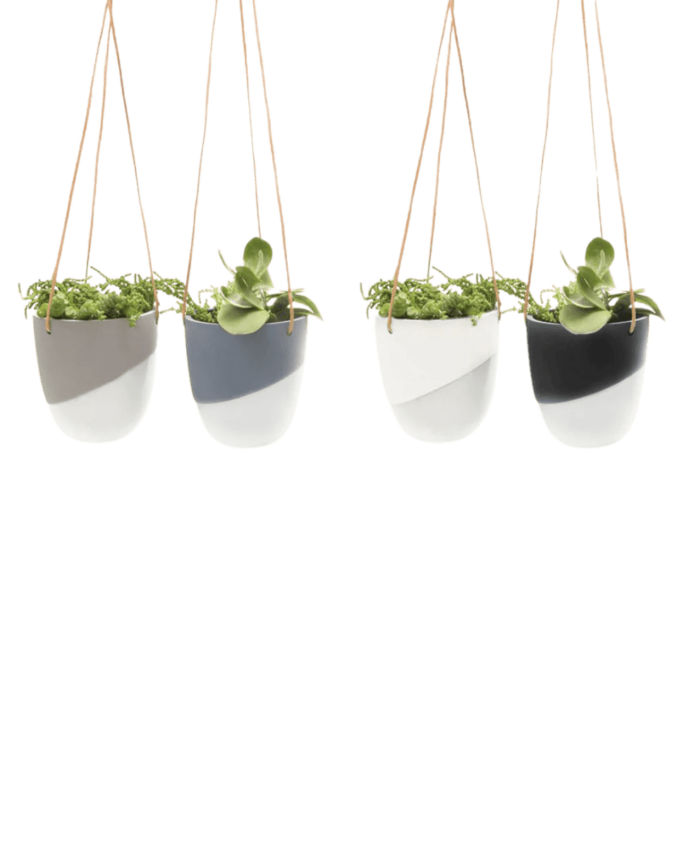 Bobbin Porcelain Modern Hanging Indoor Plant Pot Kit - Chive UK Wholesale