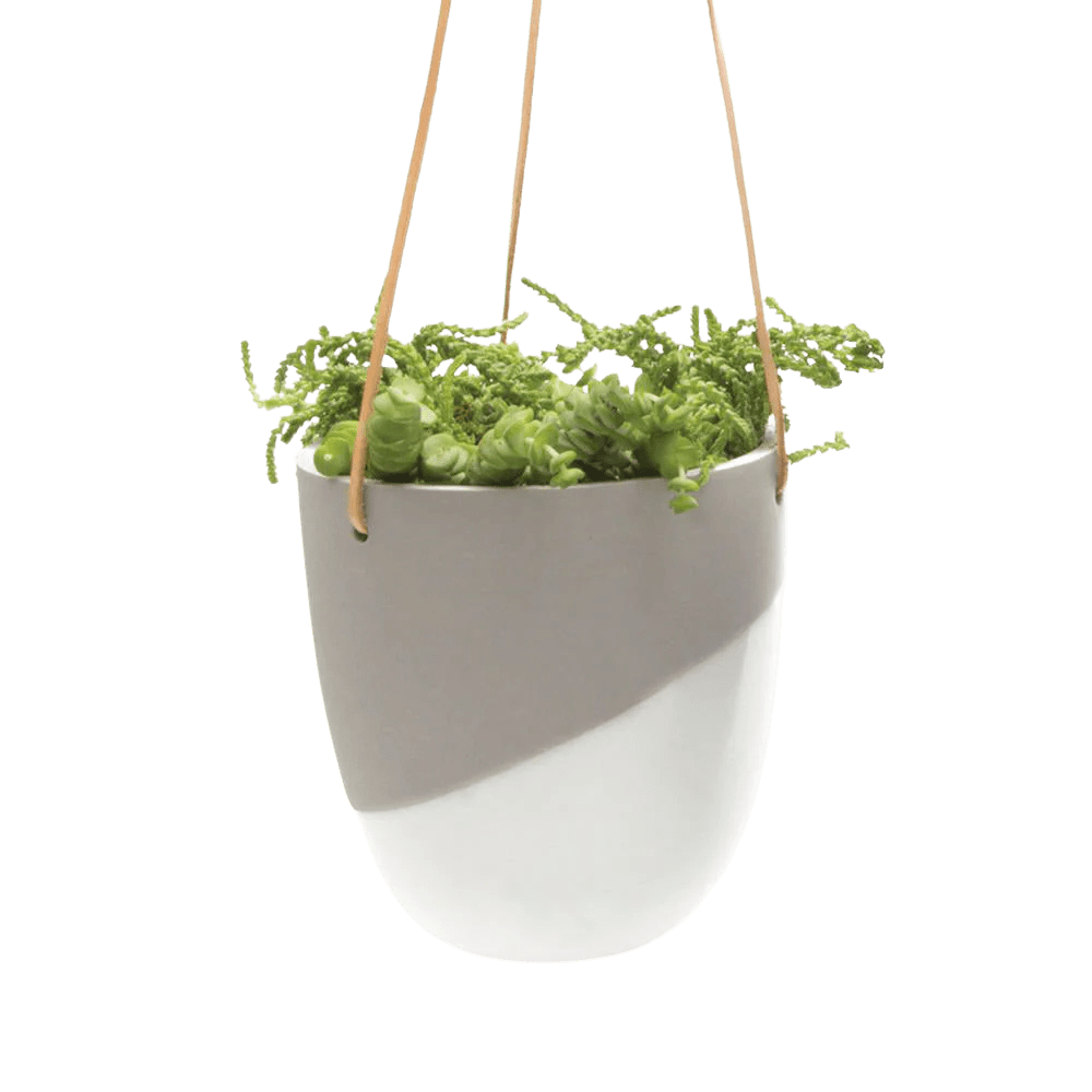 Bobbin Porcelain Modern Hanging Indoor Plant Pot - Chive UK Wholesale