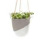 Bobbin Porcelain Modern Hanging Indoor Plant Pot - Chive UK Wholesale