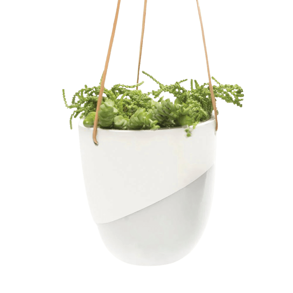 Bobbin Porcelain Modern Hanging Indoor Plant Pot - Chive UK Wholesale