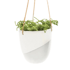 Bobbin Porcelain Modern Hanging Indoor Plant Pot - Chive UK Wholesale