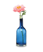 Bottle Glass Decorative Flower Vase - Chive UK Wholesale