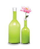 Bottle Glass Decorative Flower Vase - Chive UK Wholesale