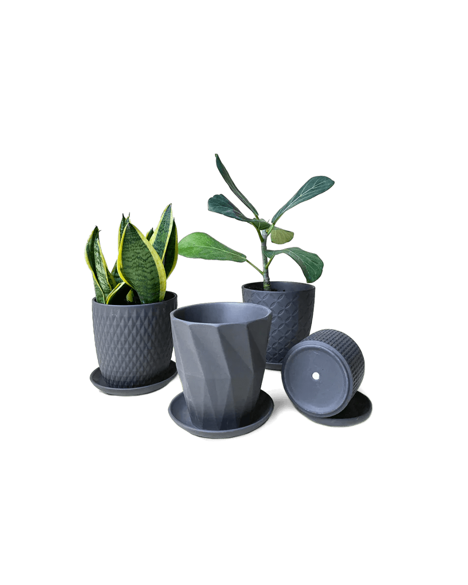 Virago Porcelain Pot With Drainage Hole And Saucer Kits - Chive UK Wholesale