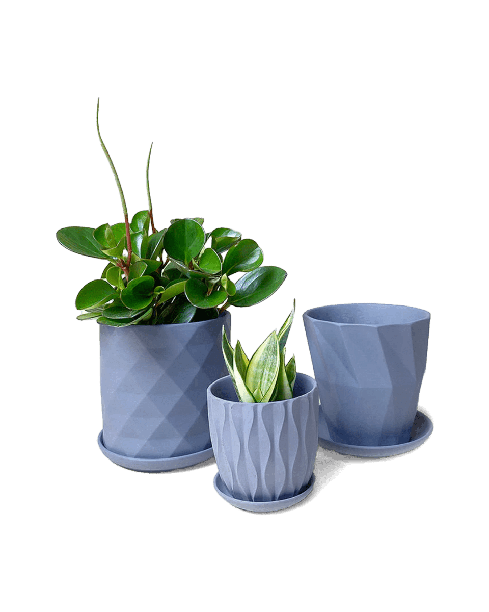 Virago Porcelain Pot With Drainage Hole And Saucer Kits - Chive UK Wholesale