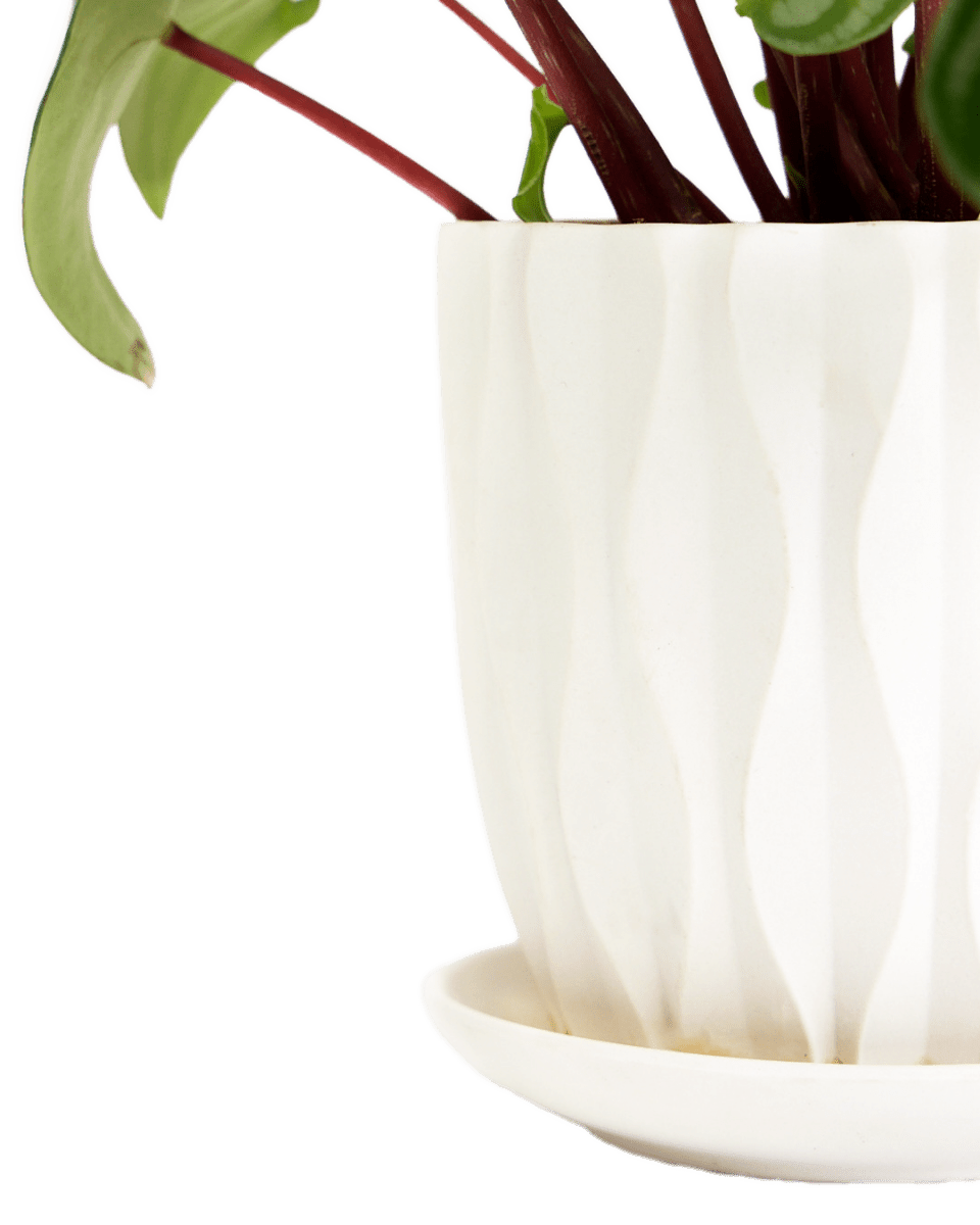 Virago 5" Porcelain Pot With Drainage Hole And Saucer - Chive UK Wholesale