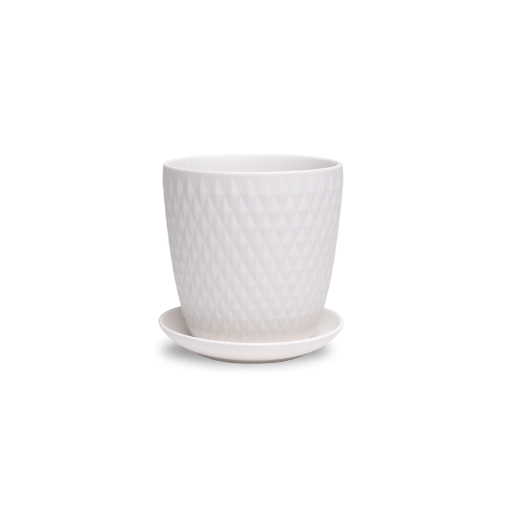 Virago 5" Porcelain Pot With Drainage Hole And Saucer - Chive UK Wholesale