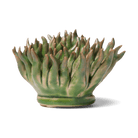 Ceramic Flower Mondo Green 4 - Chive UK Wholesale