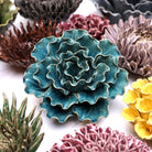 Ceramic Flower Lettuce Teal Large 5 - Chive UK Wholesale