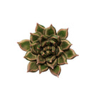 Ceramic Flowers With Keyhole For Hanging On Walls Collection 8 - 1 - Chive UK Wholesale