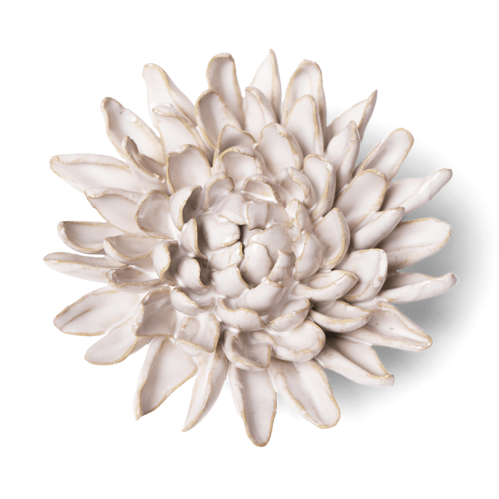 Coastal Ceramic Flower Ivory Chrysanthemum - Chive UK Wholesale