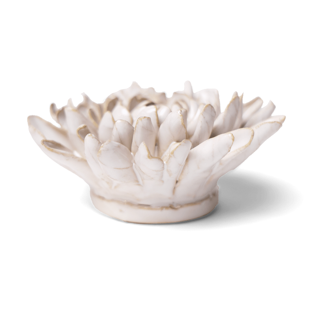 Coastal Ceramic Flower Ivory Chrysanthemum - Chive UK Wholesale