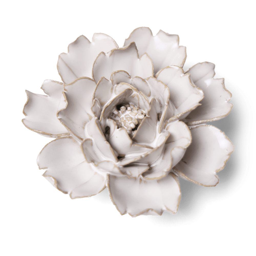 Coastal Ceramic Flower Ivory Rose - Chive UK Wholesale