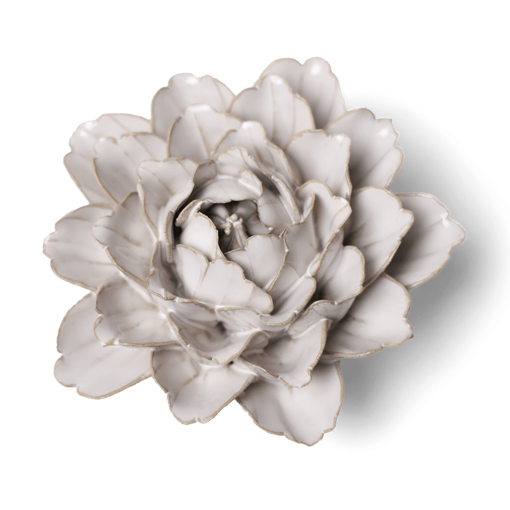 Coastal Ceramic Flower Ivory Zinnia - Chive UK Wholesale