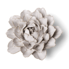 Coastal Ceramic Flower Ivory Zinnia - Chive UK Wholesale