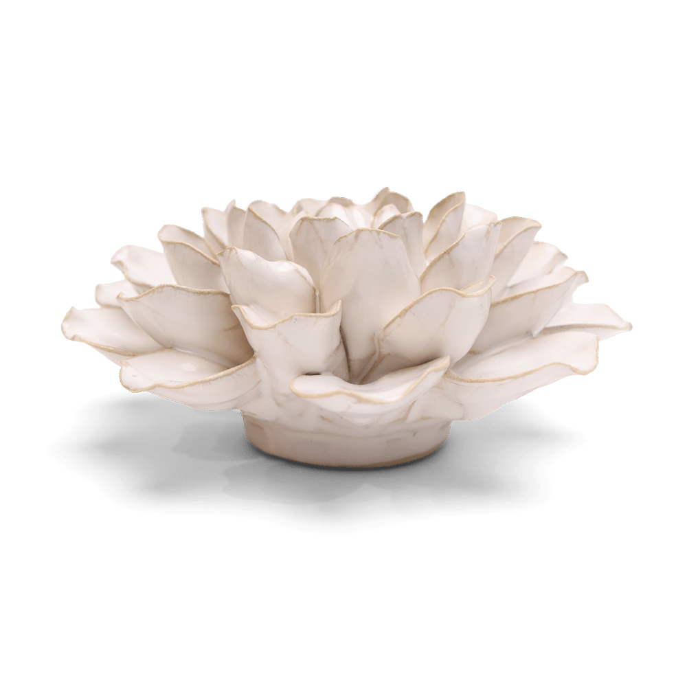 Coastal Ceramic Flower Ivory Water Lily - Chive UK Wholesale