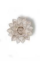 Coastal Ivory Madonna Azalea - Chive UK Wholesale