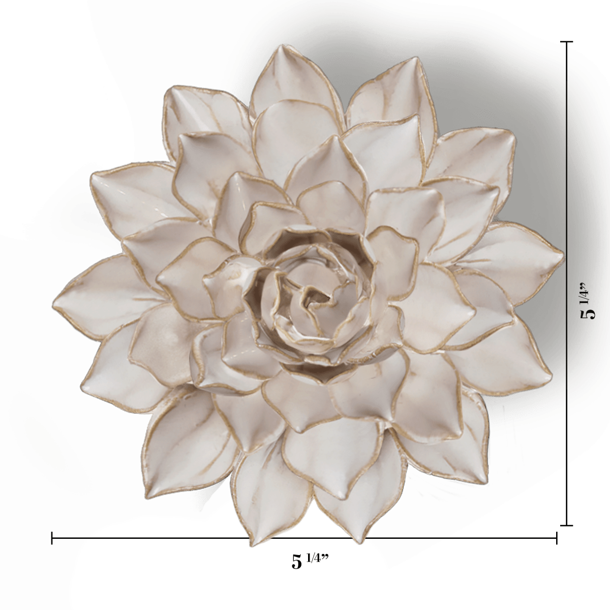 Coastal Ivory Madonna Azalea - Chive UK Wholesale