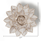 Coastal Ivory Madonna Azalea - Chive UK Wholesale
